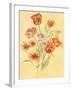 Tulips and Daisies-Judy Mastrangelo-Framed Giclee Print