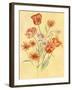 Tulips and Daisies-Judy Mastrangelo-Framed Giclee Print