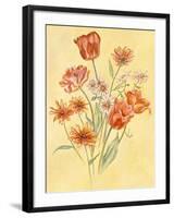 Tulips and Daisies-Judy Mastrangelo-Framed Giclee Print