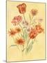 Tulips and Daisies-Judy Mastrangelo-Mounted Giclee Print