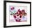 Tulips and Dots-null-Framed Art Print