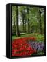 Tulips and Hyacinths in the Keukenhof Gardens at Lisse, the Netherlands, Europe-Groenendijk Peter-Framed Stretched Canvas