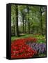 Tulips and Hyacinths in the Keukenhof Gardens at Lisse, the Netherlands, Europe-Groenendijk Peter-Framed Stretched Canvas