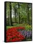 Tulips and Hyacinths in the Keukenhof Gardens at Lisse, the Netherlands, Europe-Groenendijk Peter-Framed Stretched Canvas