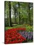 Tulips and Hyacinths in the Keukenhof Gardens at Lisse, the Netherlands, Europe-Groenendijk Peter-Stretched Canvas