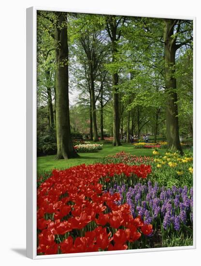 Tulips and Hyacinths in the Keukenhof Gardens at Lisse, the Netherlands, Europe-Groenendijk Peter-Framed Photographic Print