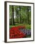 Tulips and Hyacinths in the Keukenhof Gardens at Lisse, the Netherlands, Europe-Groenendijk Peter-Framed Photographic Print