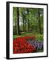 Tulips and Hyacinths in the Keukenhof Gardens at Lisse, the Netherlands, Europe-Groenendijk Peter-Framed Photographic Print