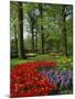 Tulips and Hyacinths in the Keukenhof Gardens at Lisse, the Netherlands, Europe-Groenendijk Peter-Mounted Photographic Print