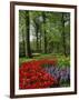 Tulips and Hyacinths in the Keukenhof Gardens at Lisse, the Netherlands, Europe-Groenendijk Peter-Framed Photographic Print