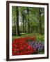 Tulips and Hyacinths in the Keukenhof Gardens at Lisse, the Netherlands, Europe-Groenendijk Peter-Framed Photographic Print