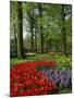Tulips and Hyacinths in the Keukenhof Gardens at Lisse, the Netherlands, Europe-Groenendijk Peter-Mounted Photographic Print