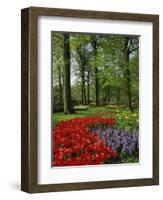 Tulips and Hyacinths in the Keukenhof Gardens at Lisse, the Netherlands, Europe-Groenendijk Peter-Framed Photographic Print