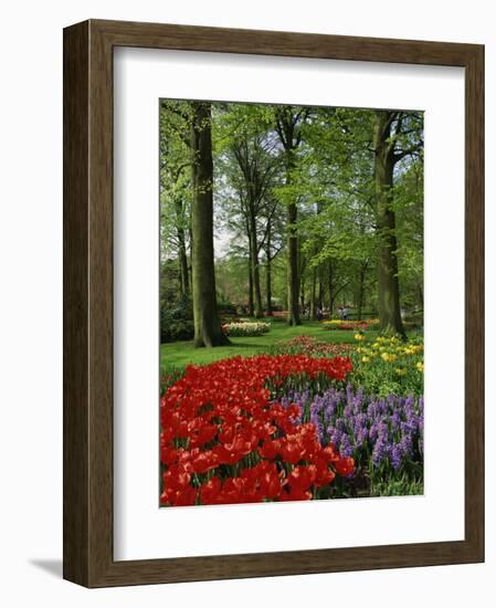 Tulips and Hyacinths in the Keukenhof Gardens at Lisse, the Netherlands, Europe-Groenendijk Peter-Framed Photographic Print