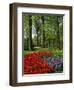 Tulips and Hyacinths in the Keukenhof Gardens at Lisse, the Netherlands, Europe-Groenendijk Peter-Framed Photographic Print