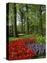 Tulips and Hyacinths in the Keukenhof Gardens at Lisse, the Netherlands, Europe-Groenendijk Peter-Stretched Canvas