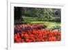 Tulips and Hyacinths under Beech Tree-Colette2-Framed Photographic Print