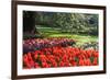 Tulips and Hyacinths under Beech Tree-Colette2-Framed Photographic Print