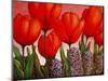 Tulips and Hyacinths-John Newcomb-Mounted Giclee Print