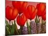 Tulips and Hyacinths-John Newcomb-Mounted Giclee Print