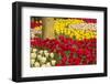 Tulips and pattern, Keukenhof Gardens, Lisse, Netherlands-Adam Jones-Framed Photographic Print