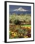 Tulips and Pear Orchard Below Mt. Hood-John McAnulty-Framed Photographic Print