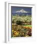 Tulips and Pear Orchard Below Mt. Hood-John McAnulty-Framed Photographic Print