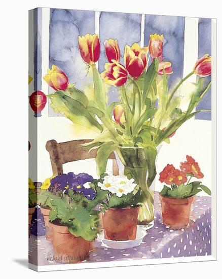 Tulips and Primulas-Richard Akerman-Stretched Canvas