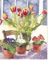 Tulips and Primulas-Richard Akerman-Stretched Canvas