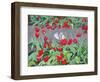 Tulips and reflection,2017-Andrew Macara-Framed Giclee Print