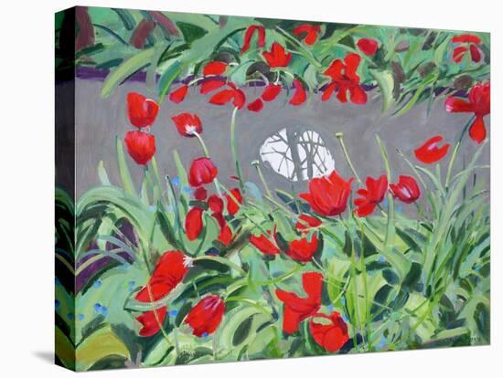 Tulips and reflection,2017-Andrew Macara-Stretched Canvas