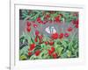 Tulips and reflection,2017-Andrew Macara-Framed Giclee Print