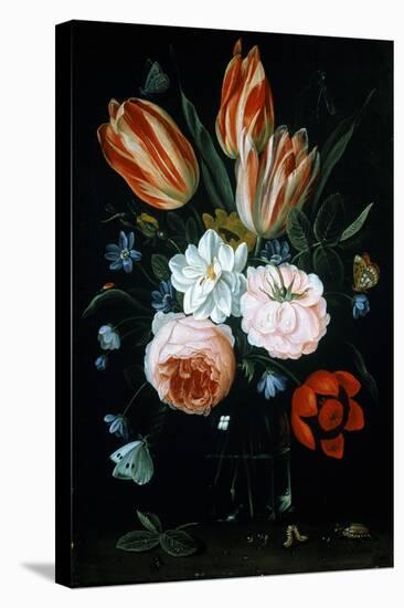 Tulips and Roses in a Glass Vase-Jan van Kessel-Stretched Canvas