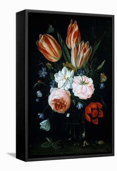 Tulips and Roses in a Glass Vase-Jan van Kessel-Framed Stretched Canvas