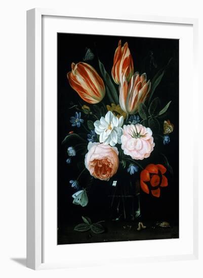 Tulips and Roses in a Glass Vase-Jan van Kessel-Framed Giclee Print