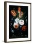 Tulips and Roses in a Glass Vase-Jan van Kessel-Framed Giclee Print