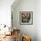 Tulips and Water Glass-Tim Nyberg-Framed Giclee Print displayed on a wall