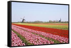 Tulips and Windmill 4-ErikdeGraaf-Framed Stretched Canvas