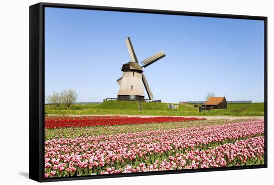 Tulips and Windmill 5-ErikdeGraaf-Framed Stretched Canvas