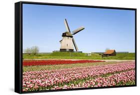 Tulips and Windmill 5-ErikdeGraaf-Framed Stretched Canvas