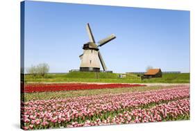 Tulips and Windmill 5-ErikdeGraaf-Stretched Canvas