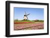 Tulips and Windmill 5-ErikdeGraaf-Framed Photographic Print