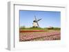 Tulips and Windmill 5-ErikdeGraaf-Framed Photographic Print