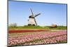 Tulips and Windmill 5-ErikdeGraaf-Mounted Photographic Print