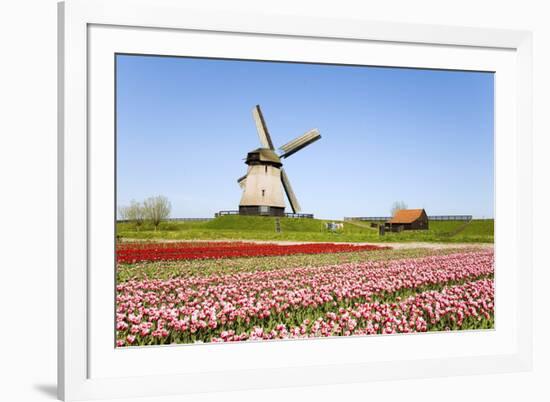 Tulips and Windmill 5-ErikdeGraaf-Framed Photographic Print