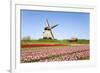 Tulips and Windmill 5-ErikdeGraaf-Framed Photographic Print