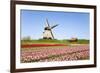 Tulips and Windmill 5-ErikdeGraaf-Framed Photographic Print