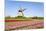 Tulips and Windmill 5-ErikdeGraaf-Mounted Photographic Print