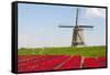 Tulips and Windmill-ErikdeGraaf-Framed Stretched Canvas