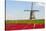 Tulips and Windmill-ErikdeGraaf-Stretched Canvas